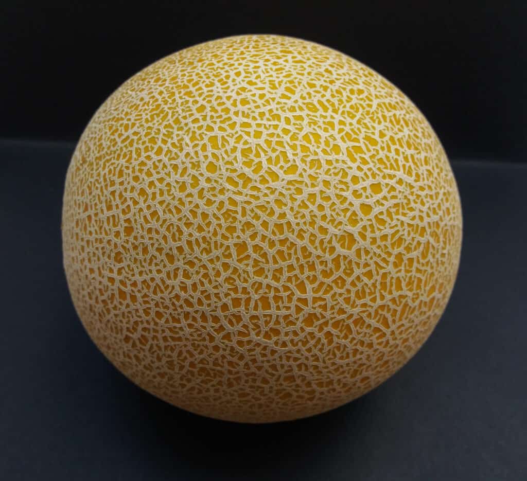 Melone Atena