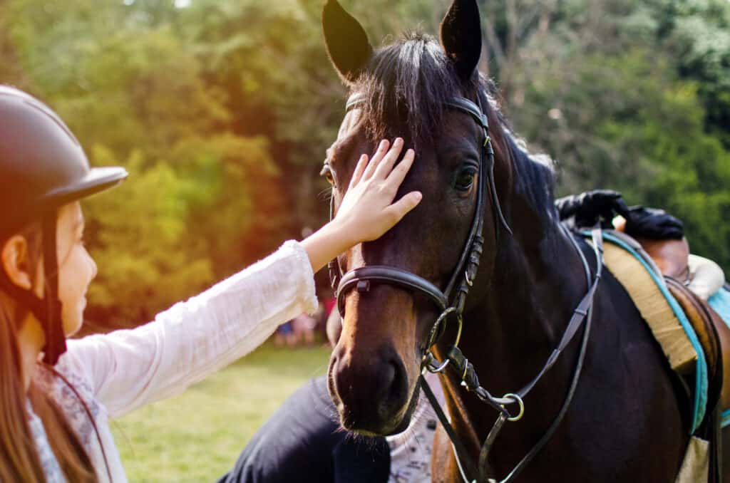 Cavallo, Disabilità, Persone, Recupero, Cura