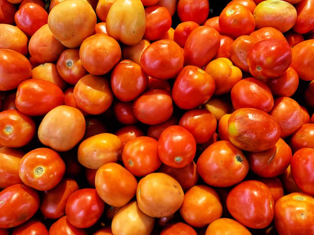 Pomodoro celebrità, mucchio di frutta.