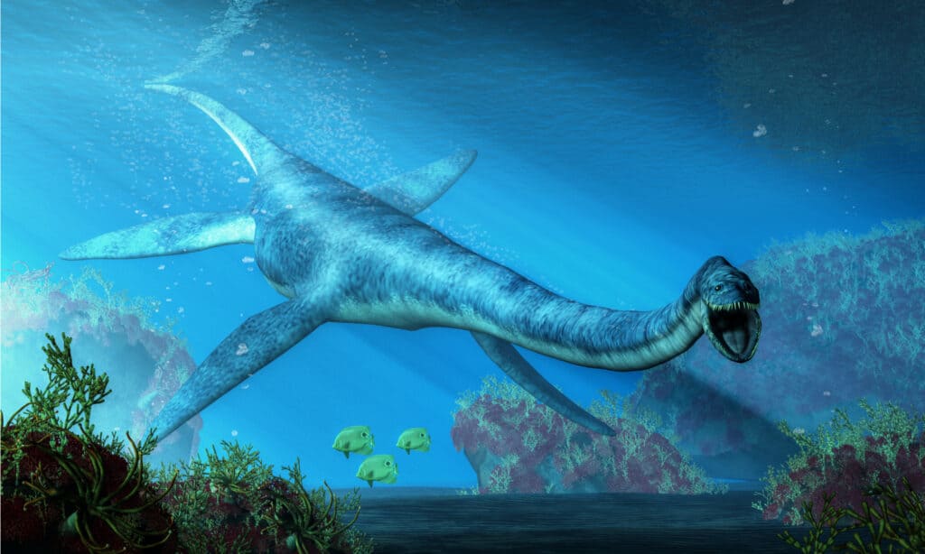 Elasmosauro