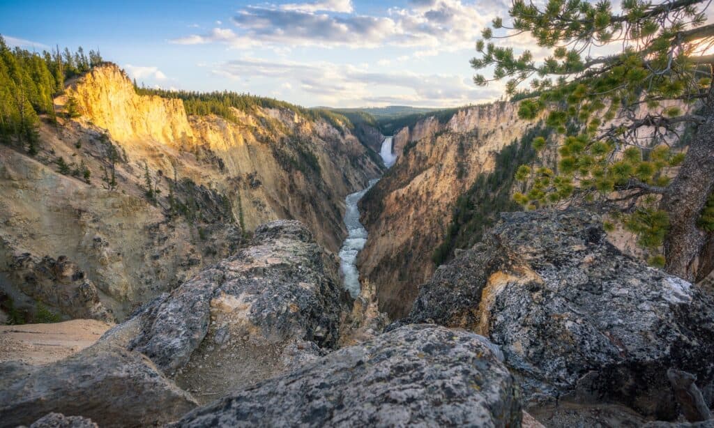 Grand Canyon dello Yellowstone