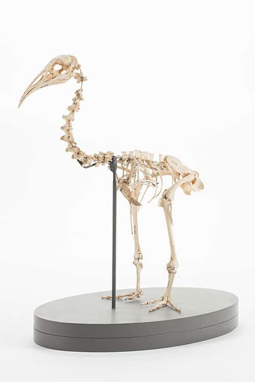 La ferrovia di Hawkins