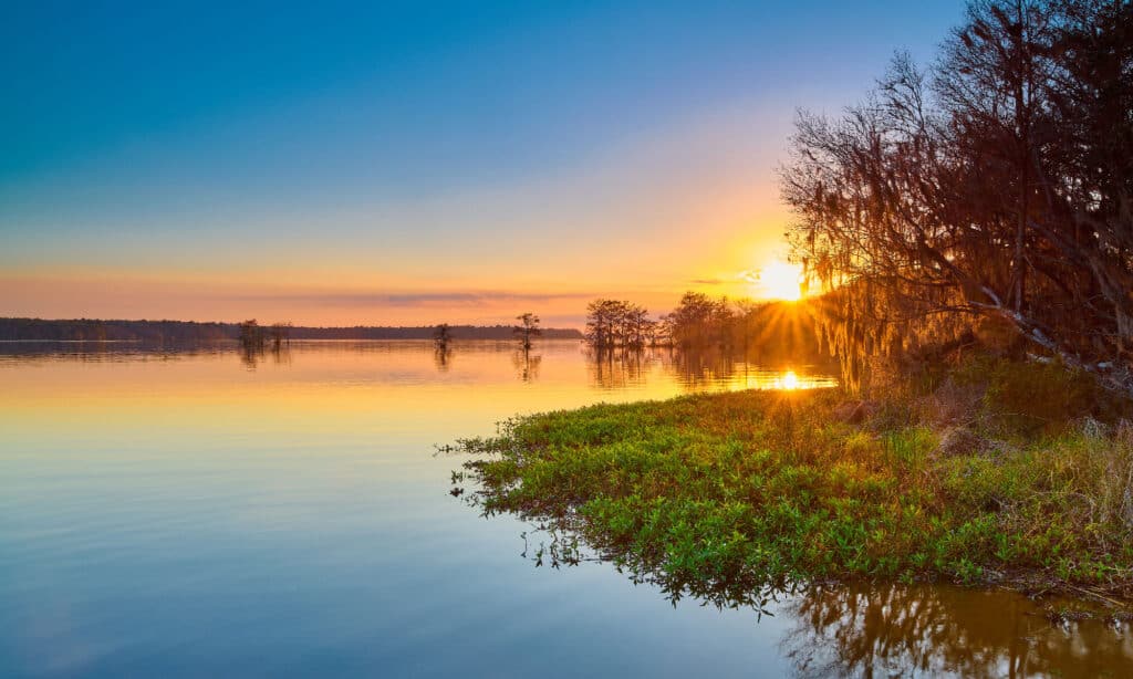 Lago Talquin Florida