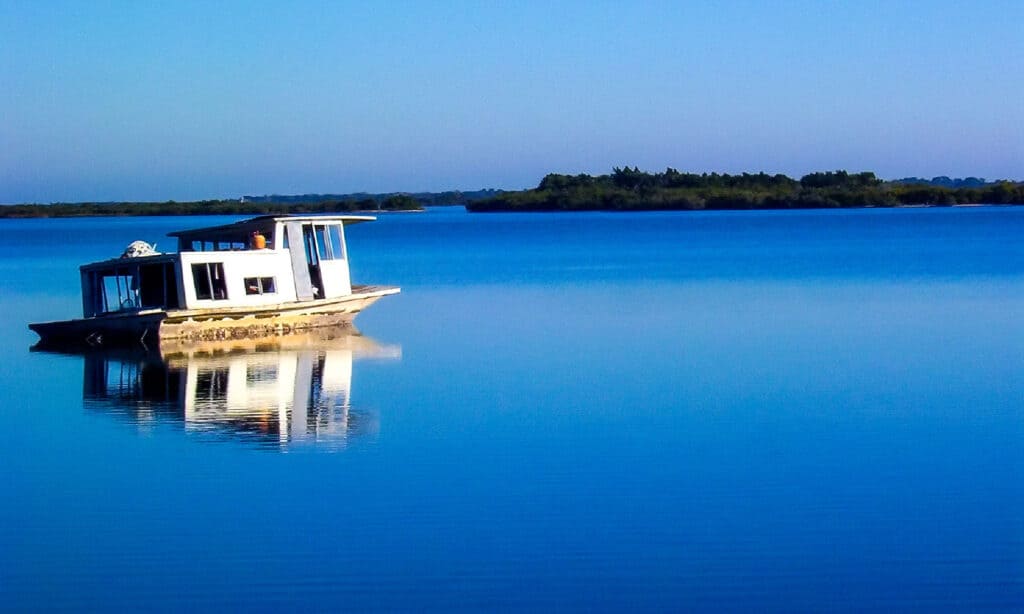 Laguna della zanzara, Florida.