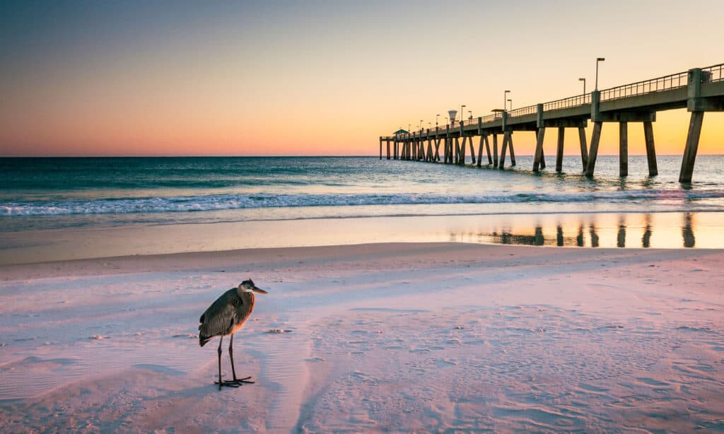Destino Florida 