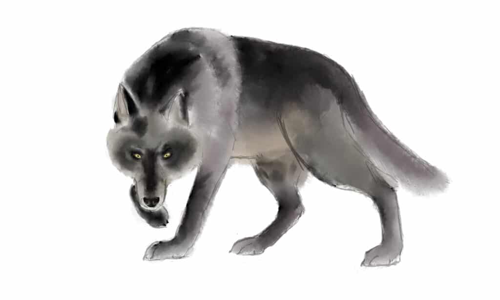 Disegnare naso e occhi