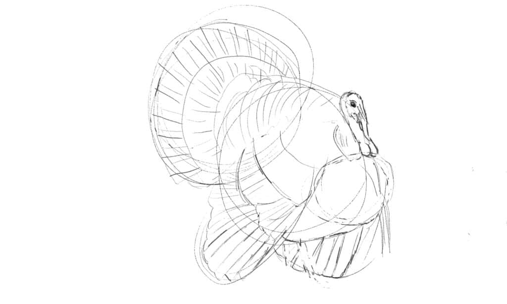 contorno del disegno della Turchia