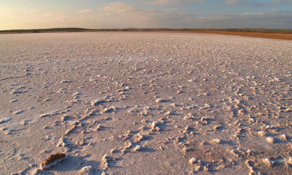 Il grande deserto australiano