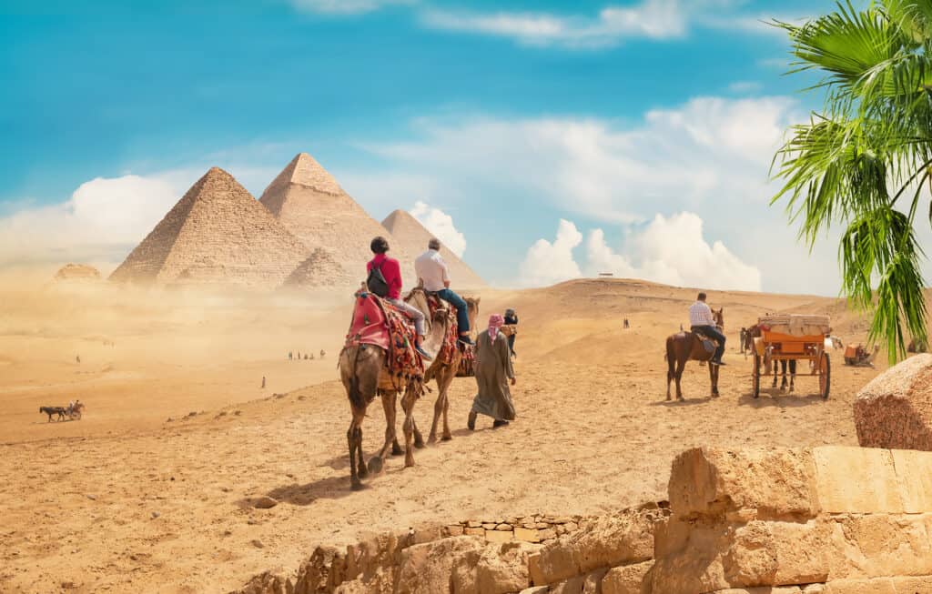 Cammelli nel deserto sabbioso