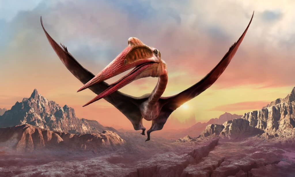 Quetzalcoatlus