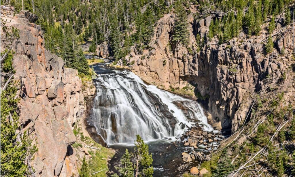 Grand Canyon dello Yellowstone