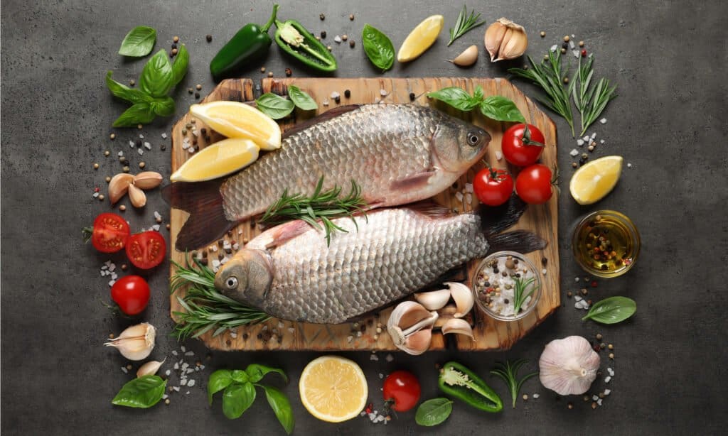 Carpa Crucian su un piatto da portata