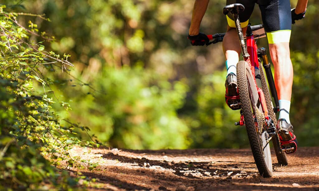 Ciclismo, bicicletta, montagna, sentiero, escursionismo