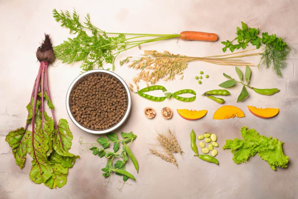 Cibo per cani vegano e ingredienti vegetali crudi