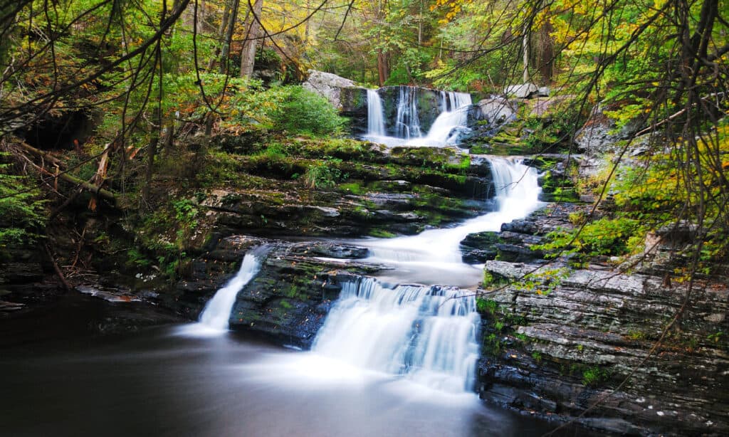Dingmans cade in Pennsylvania