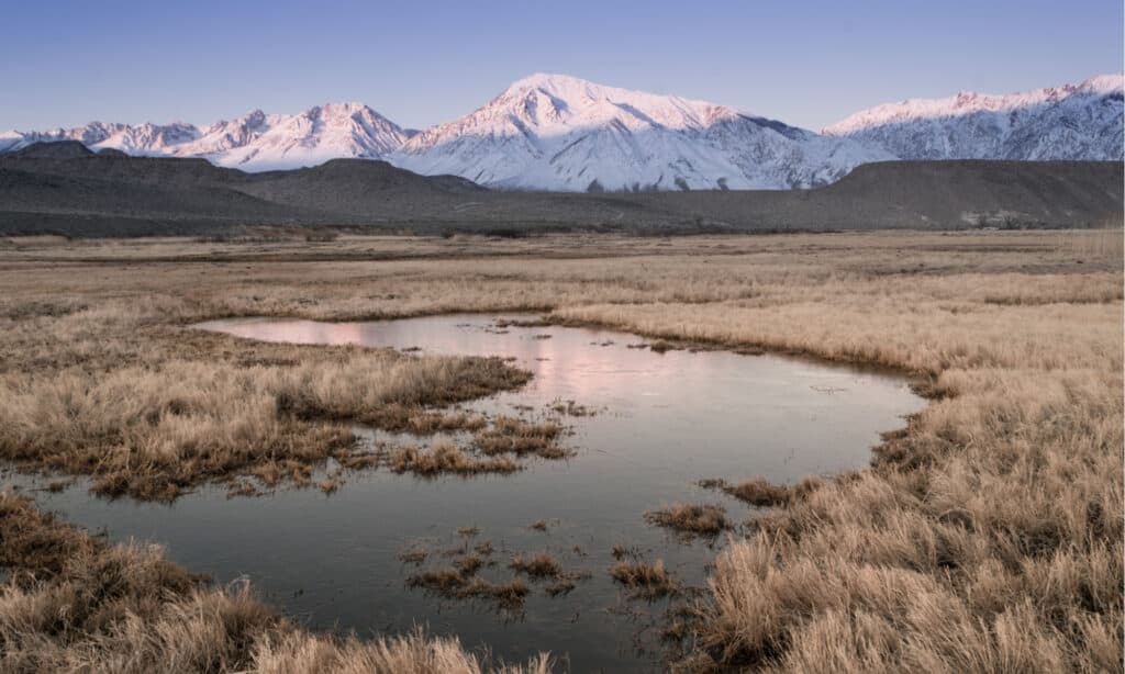 I laghi più lunghi della California: il fiume Owens