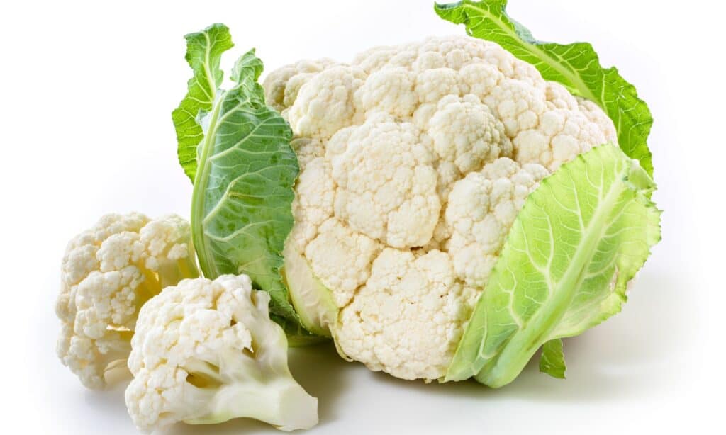 Cavolfiore vs Broccoli