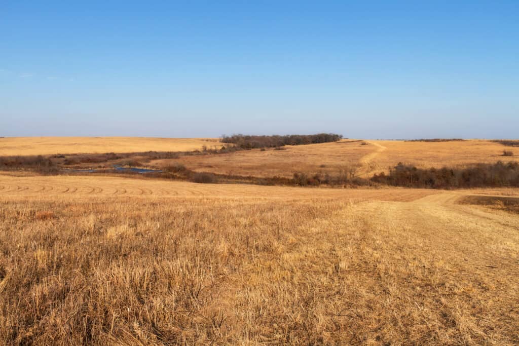Prati aperti nel Missouri
