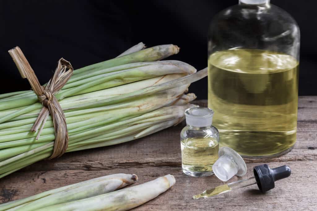 citronella