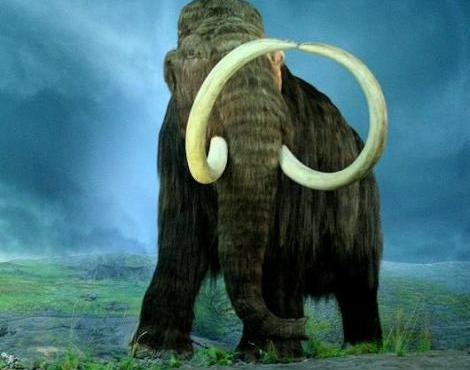 Woolly Mammoth vs Mastodon: quali sono le differenze chiave?
