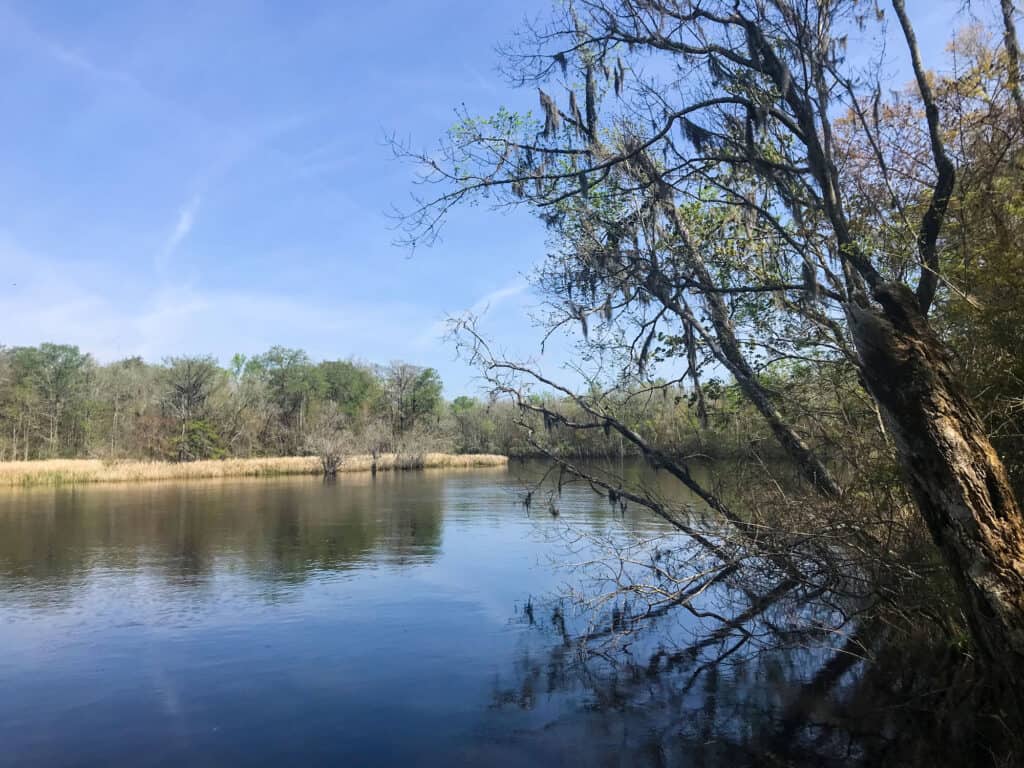 Fiume, Immagine a colori, Composizione orizzontale, Lussureggiante, Natura