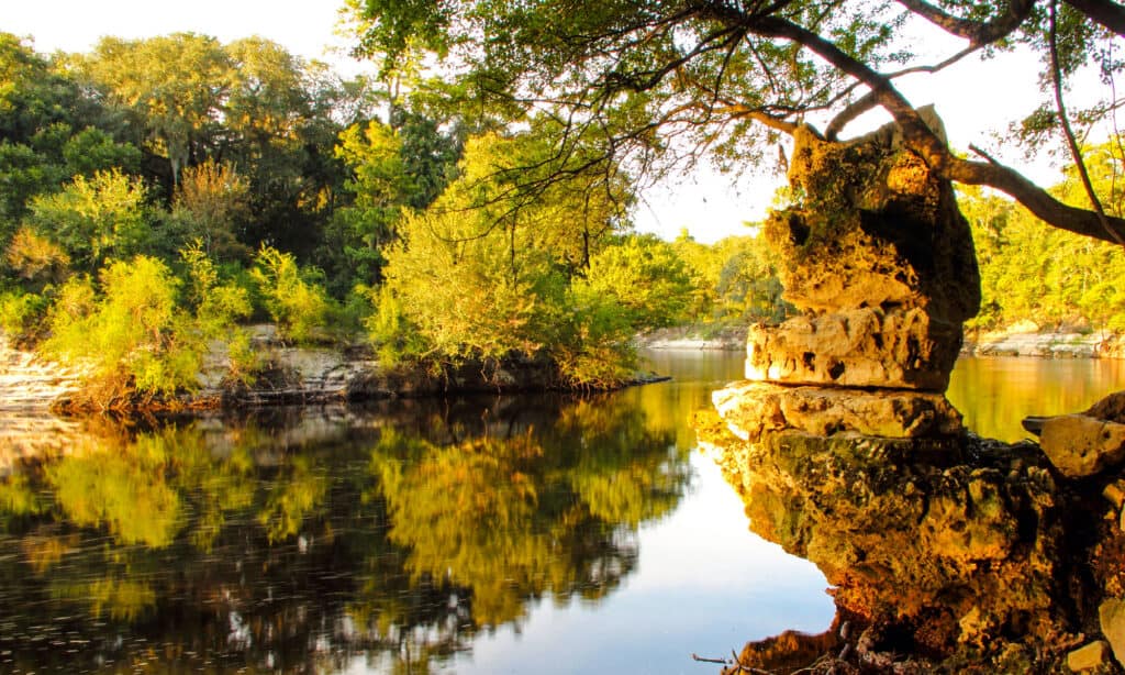 Suwannee River, Florida - Stato USA, Sorgente - Acqua corrente, Equilibrio, Culture