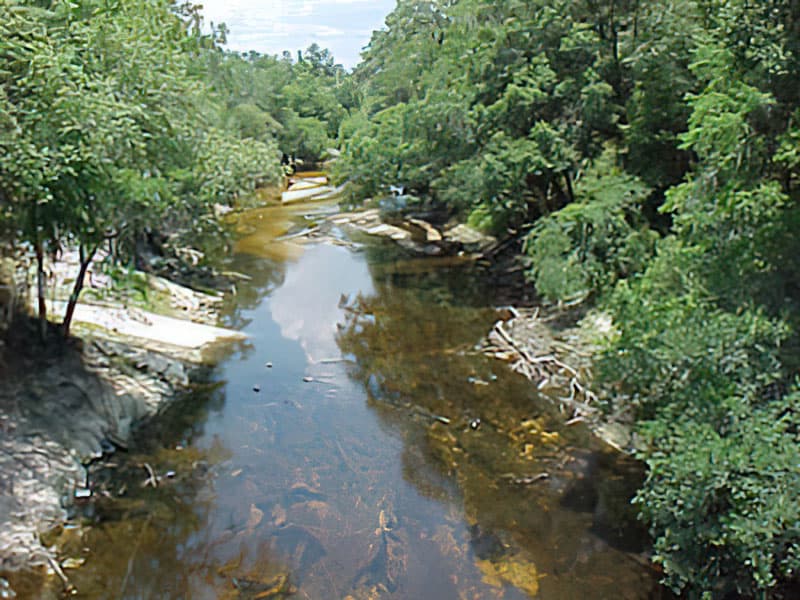 Fiume Alapaha