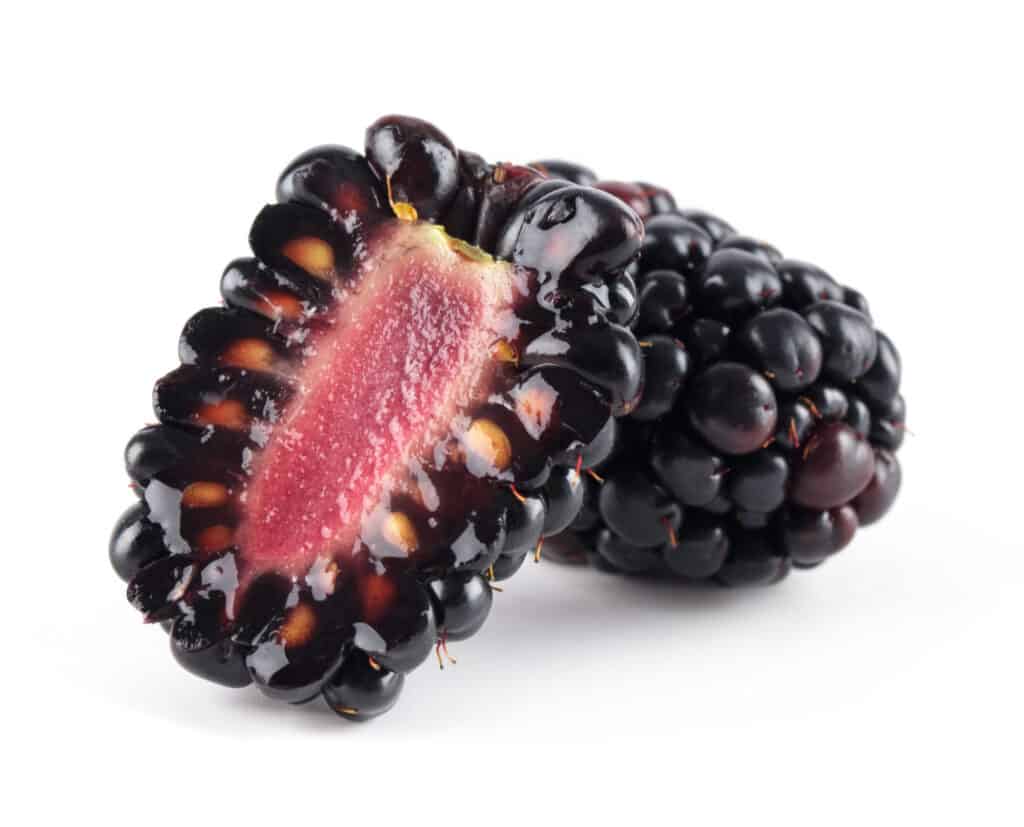 Semi di mora