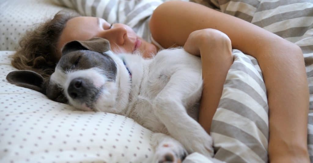 Una donna abbraccia il suo cane a letto