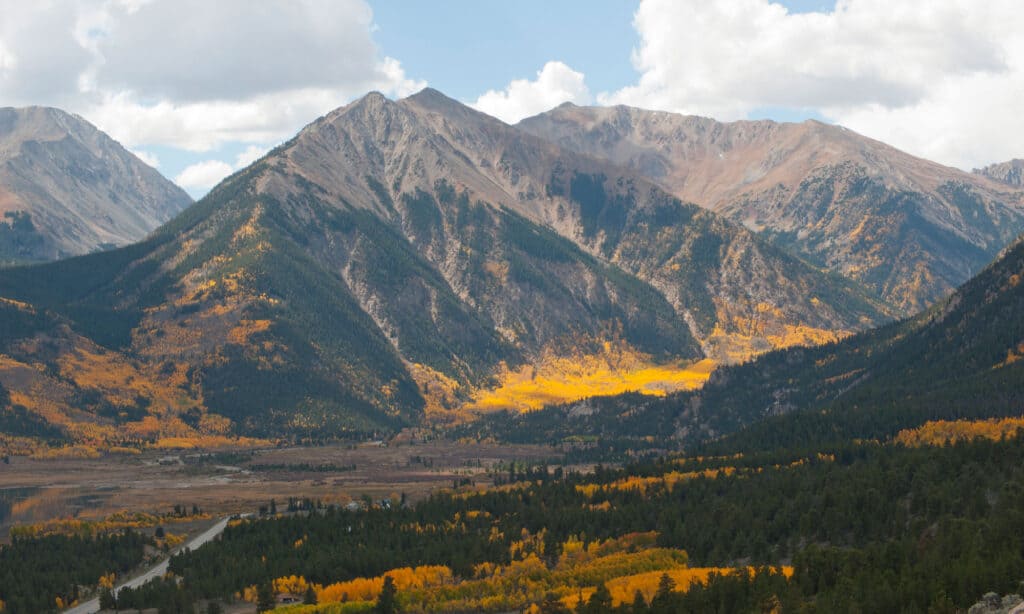Picco d'argento Colorado