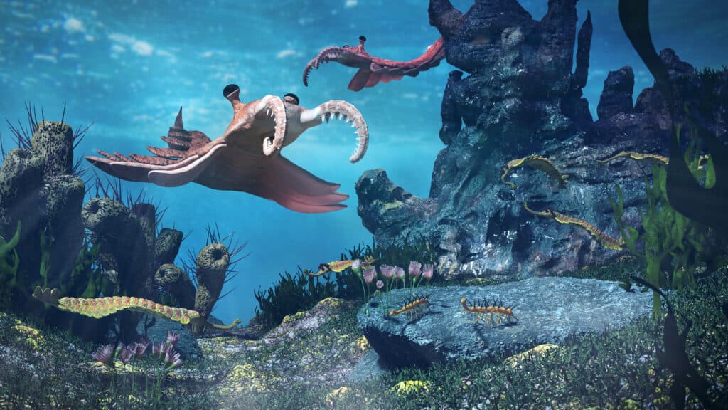 Anomalocaris è stato il primo super predatore della Terra lungo quanto un essere umano