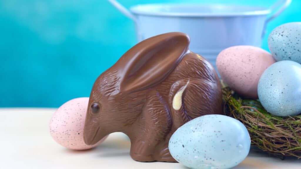 Uovo di Pasqua Bilby al cioccolato al latte australiano con uova nel nido e spazio per la copia