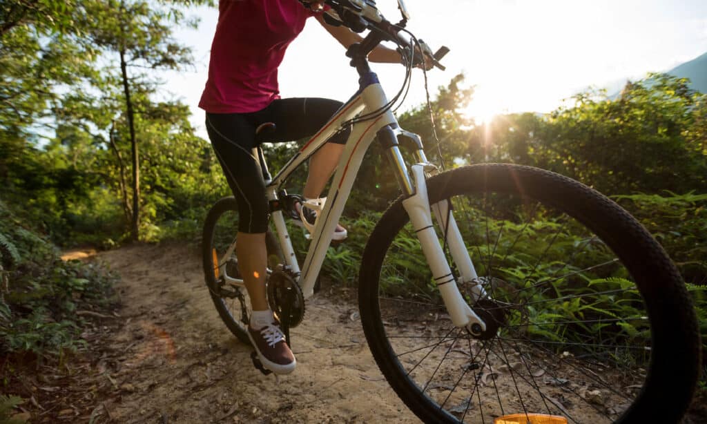 Bicicletta
