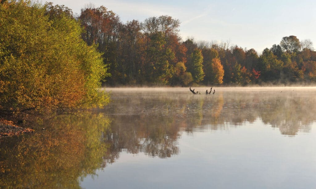 Lago Nockamixon