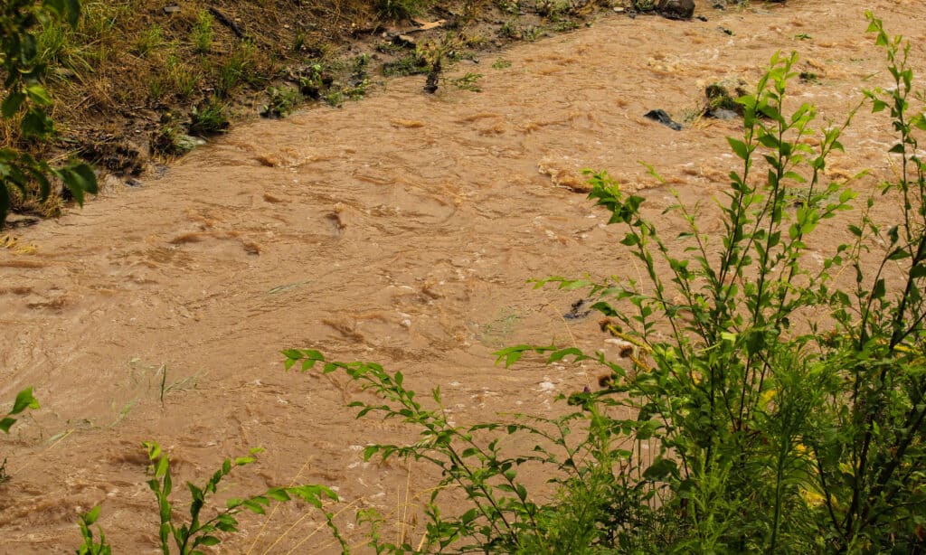   Alluvione a Prescott