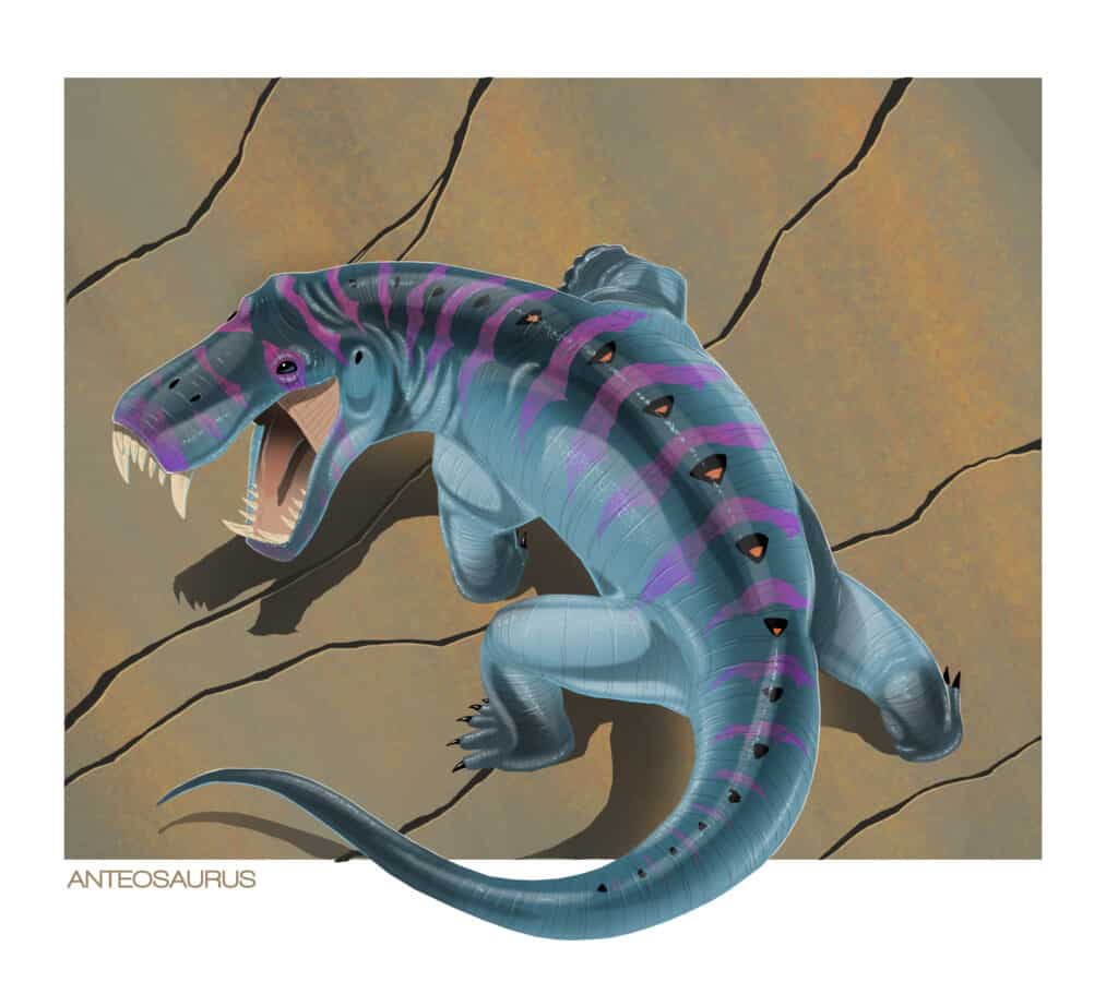 Anteosauro a terra