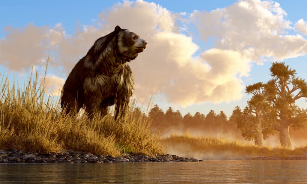 Illustrazione di Arctodus vicino a un fiume