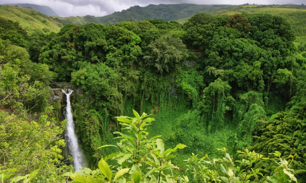 Vista delle cascate Makahiku nel sentiero delle cascate Waimoku, isola di Maui, Hawaii