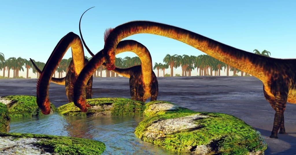 I più grandi dinosauri di sempre: Barosaurus duro