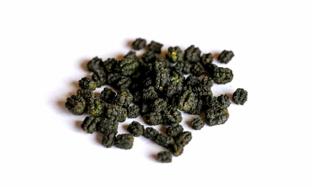 Cacca di falena di seta