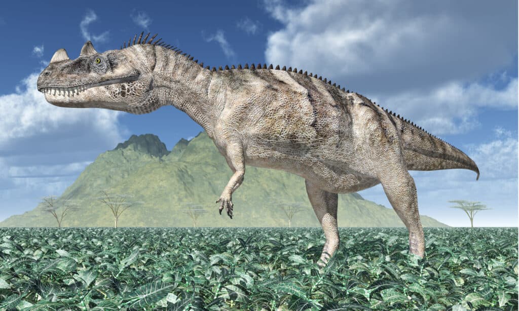 Rendering 3D di ceratosauro in un paesaggio preistorico
