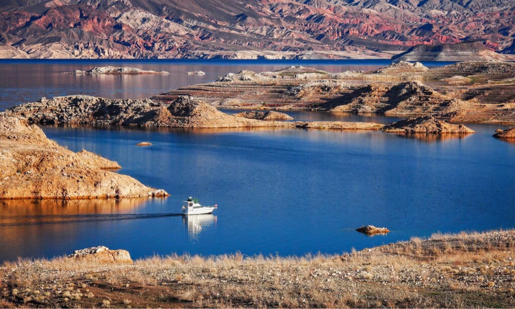 Area ricreativa nazionale del lago Mead