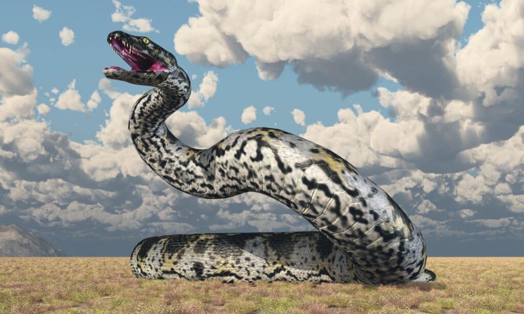 Rettili estinti: illustrazione di Titanoboa