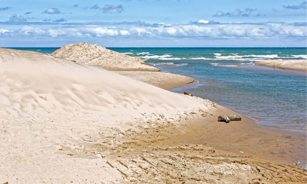 parco nazionale delle dune dell'indiana