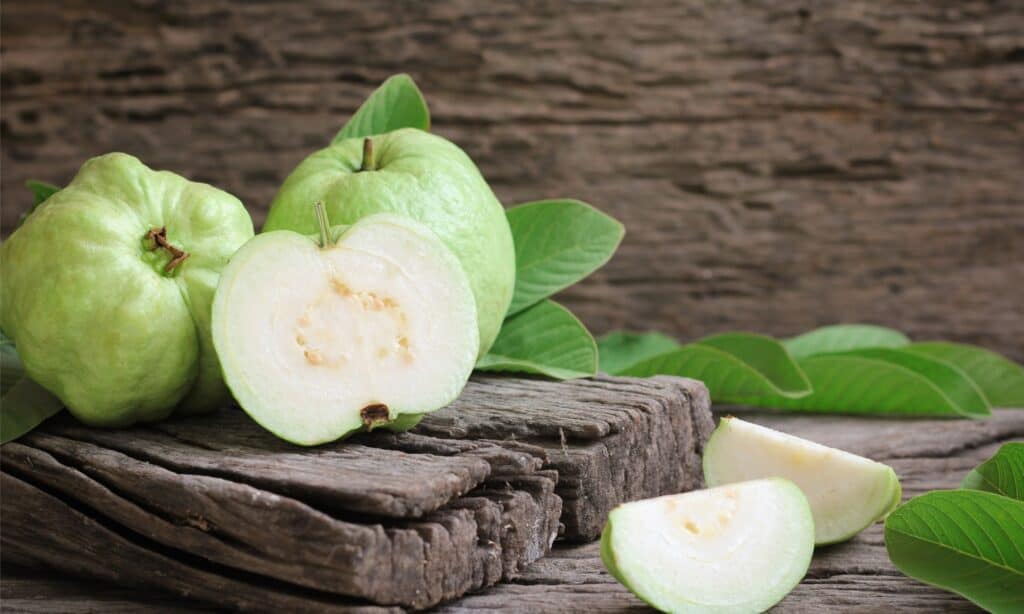 primo piano del frutto di guava