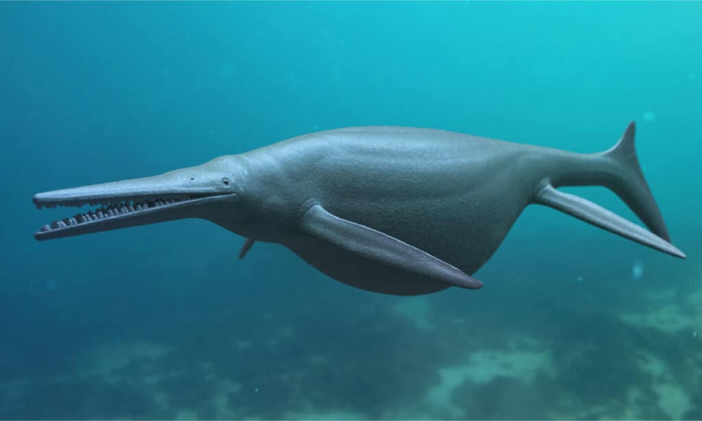 Ittiosauro gigante 3D reso