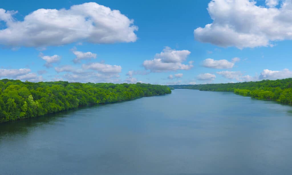 fiume Mississipi