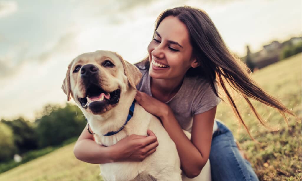 Dog Park Series - Laboratorio con donna