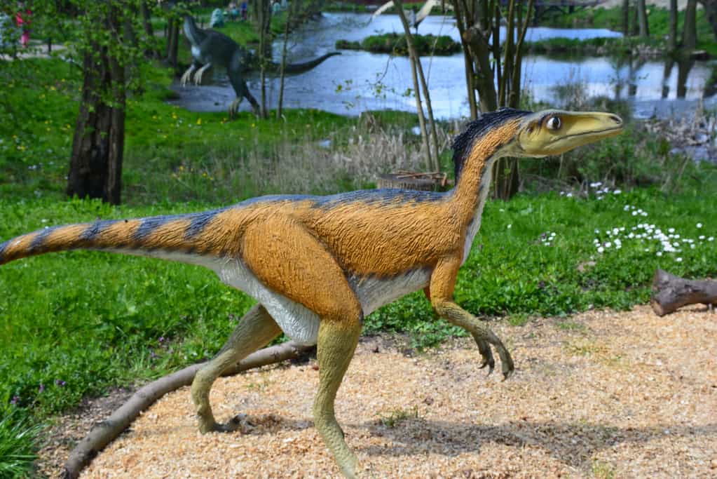 Rendering 3D di un troodon che attraversa una foresta