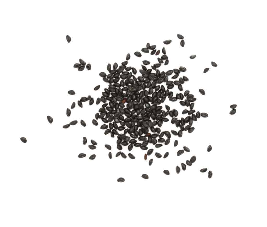 semi di colombina